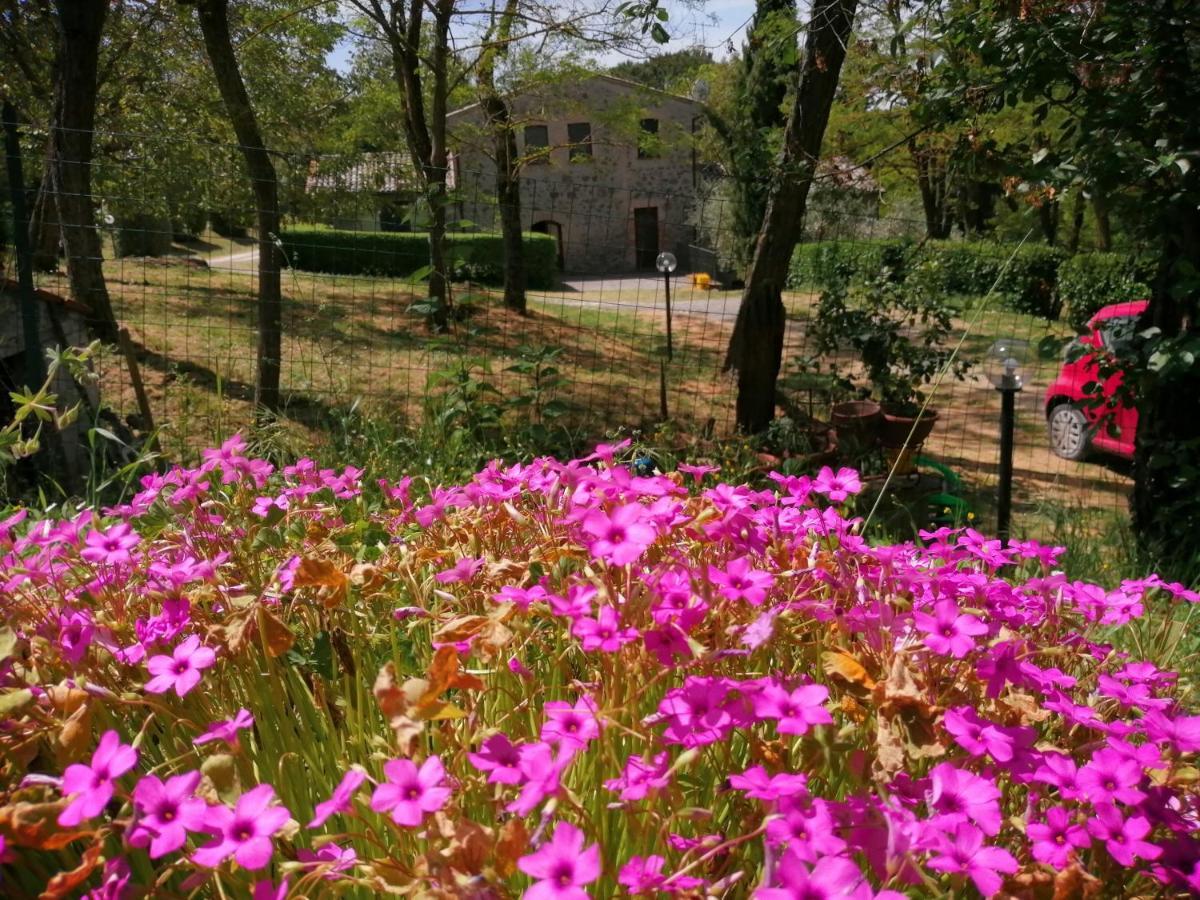 Agriturismo Il Cornalino Castel Viscardo Exterior photo