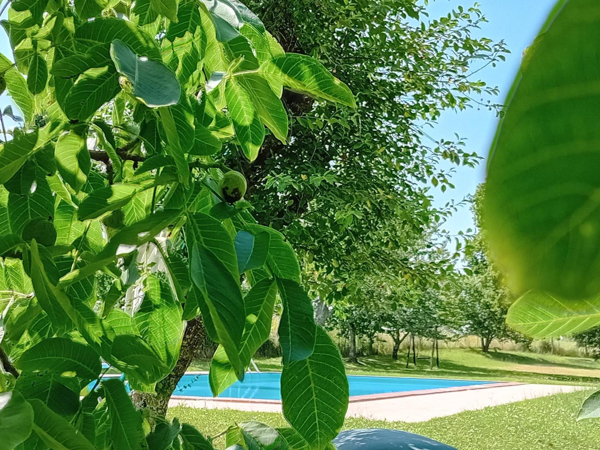 Agriturismo Il Cornalino Castel Viscardo Exterior photo
