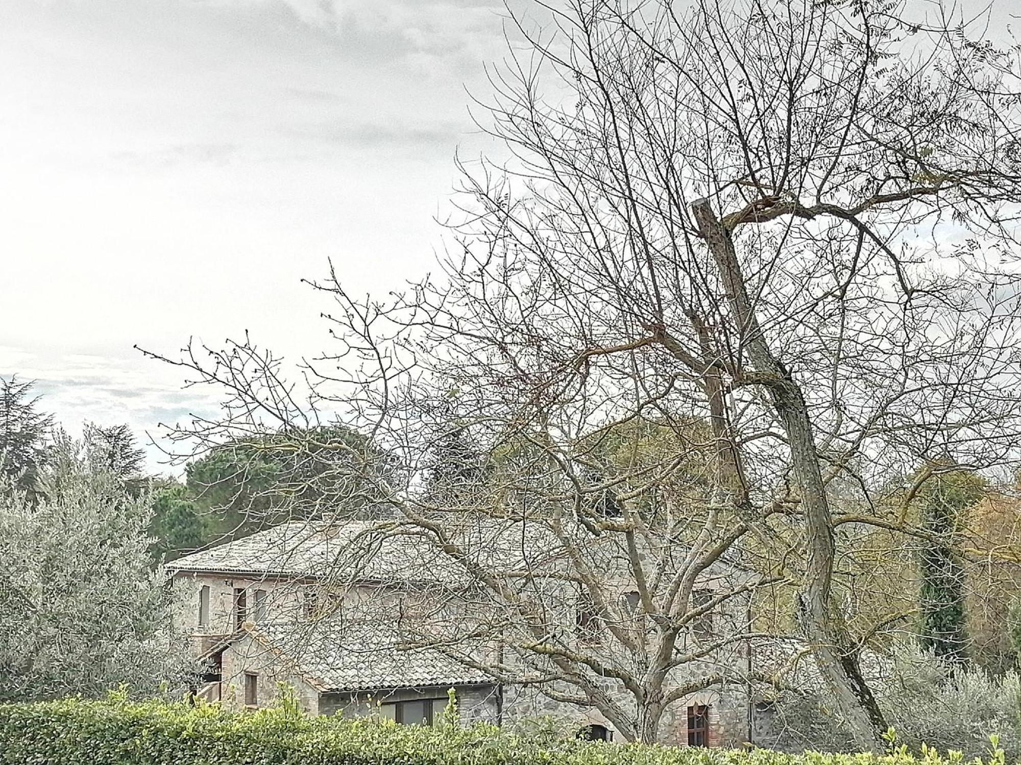 Agriturismo Il Cornalino Castel Viscardo Exterior photo