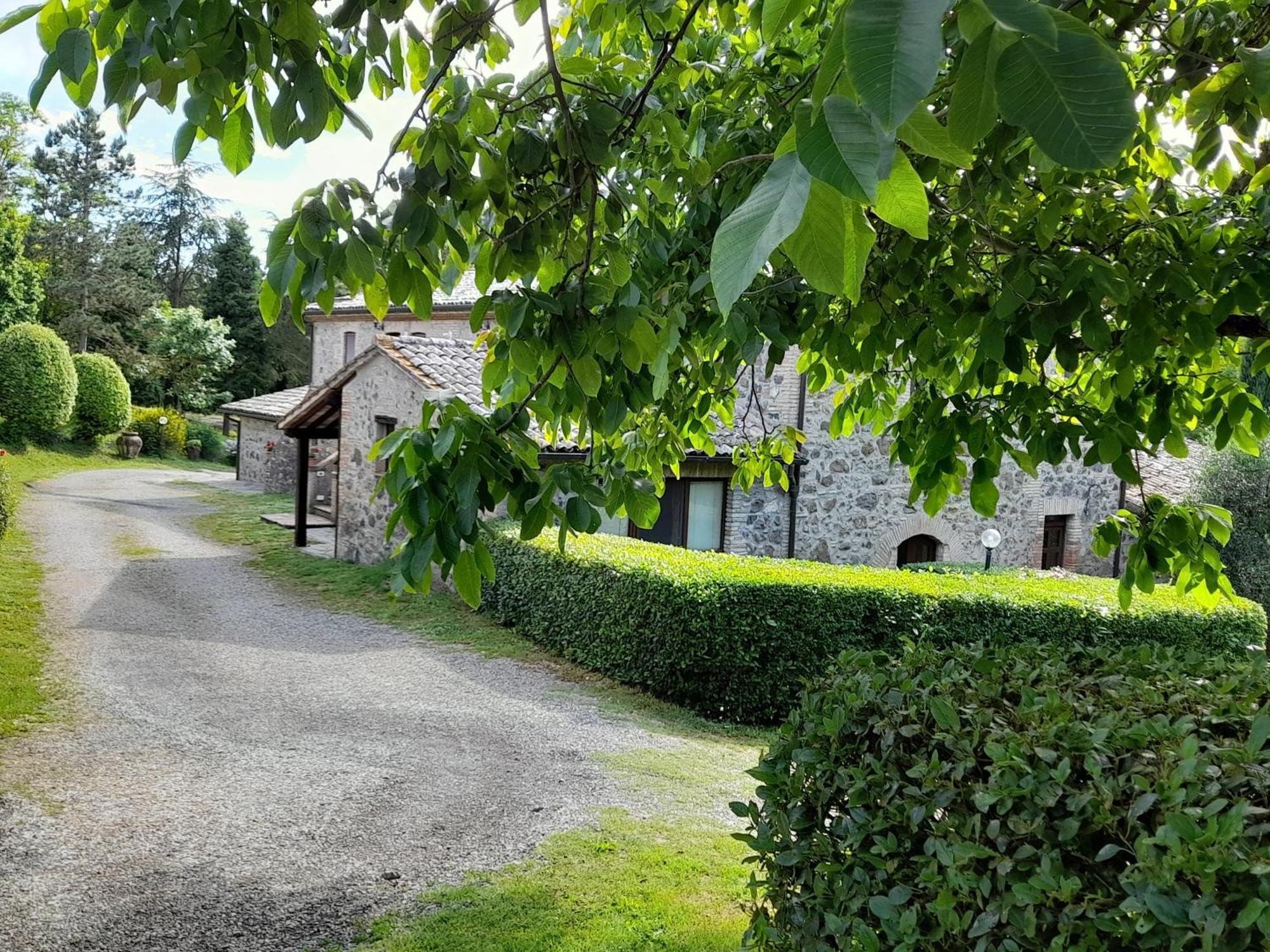 Agriturismo Il Cornalino Castel Viscardo Exterior photo