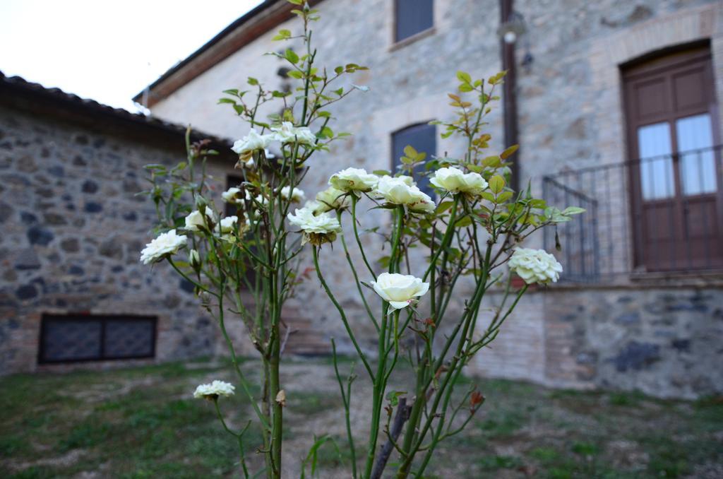 Agriturismo Il Cornalino Castel Viscardo Exterior photo